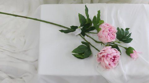 Піон х3 80см, Ніжно рожевий