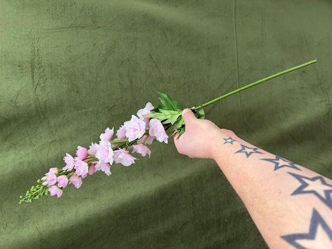 Дельфініум 74см, Перлиново рожевий