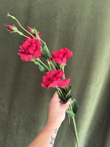 Еустома гілка 85см, Червоно зелений