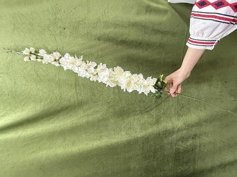Дельфініум 120см, Молочний 2