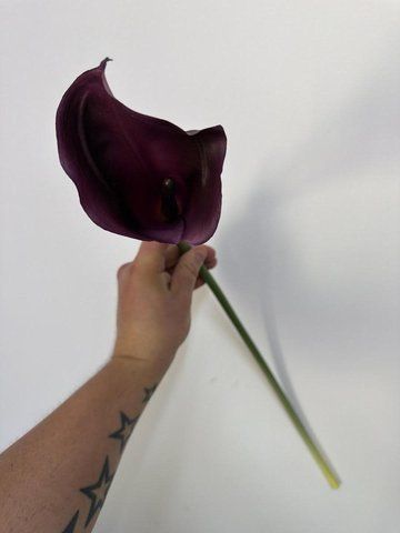 Кала 70см гелева, Баклажан