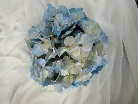 Фото Гортензія голова 22см