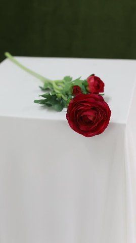 Ранункулус штучний 50см, Фуксія