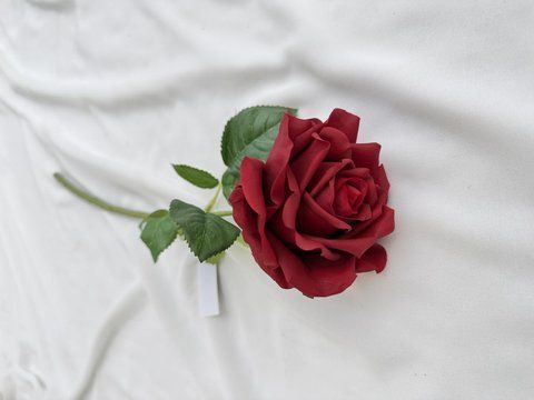 Троянда 45см 1 на гілці, Червоний