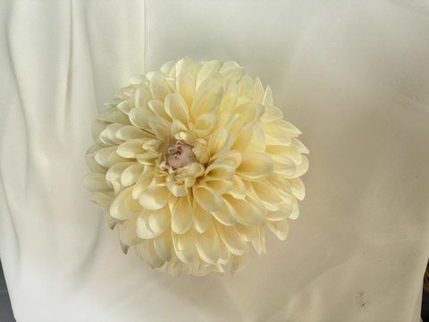Фото Жоржина голова 16см