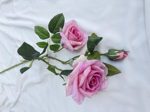 Троянда деніз 75см, 2 на гілці і бутон, Рожевий mauve