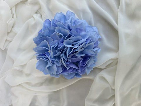 Фото Гортензія голова 20см