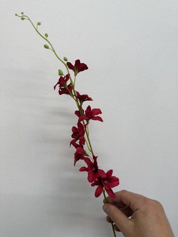 Орхідея тайландська, Червоний